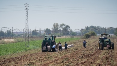 Aragón destina 545.000 euros para impulsar la incorporación de agricultores y ganaderos a los sellos de calidad