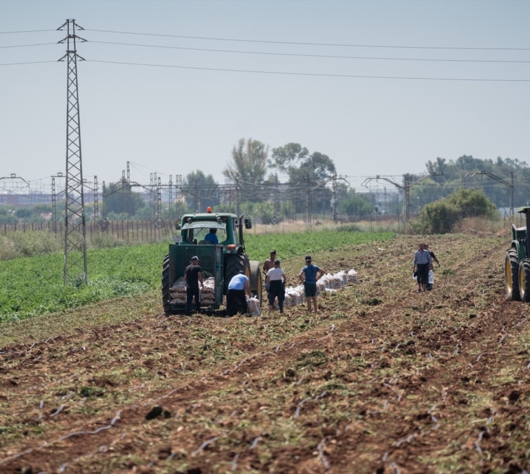 Aragón destina 545.000 euros para impulsar la incorporación de agricultores y ganaderos a los sellos de calidad