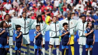 ¿Cuántos jugadores de la selección francesa han nacido en Francia?