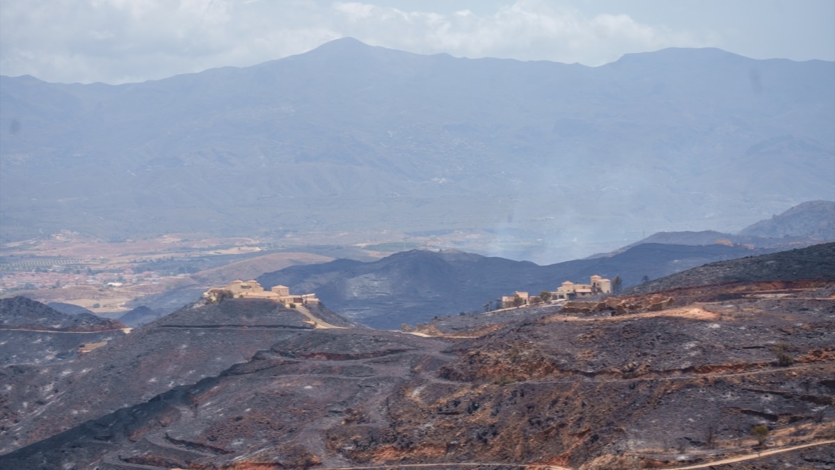 Imagen de la zona afectada por el paso del incendio de Los Gallardos, a 11 de julio de 2026 en Almería.