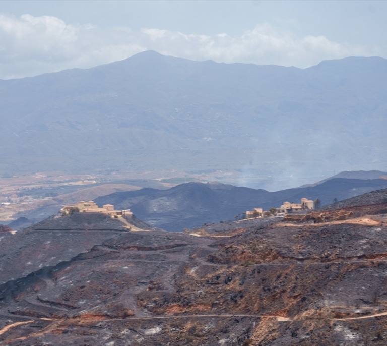 El incendio de Los Gallardos queda estabilizado y todos los evacuados podrán volver a sus casas