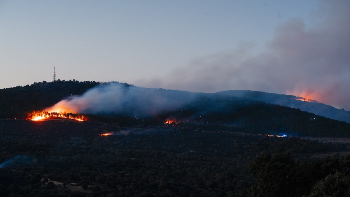 La gestión de los incendios forestales