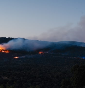 La gestión de los incendios forestales