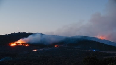 La gestión de los incendios forestales