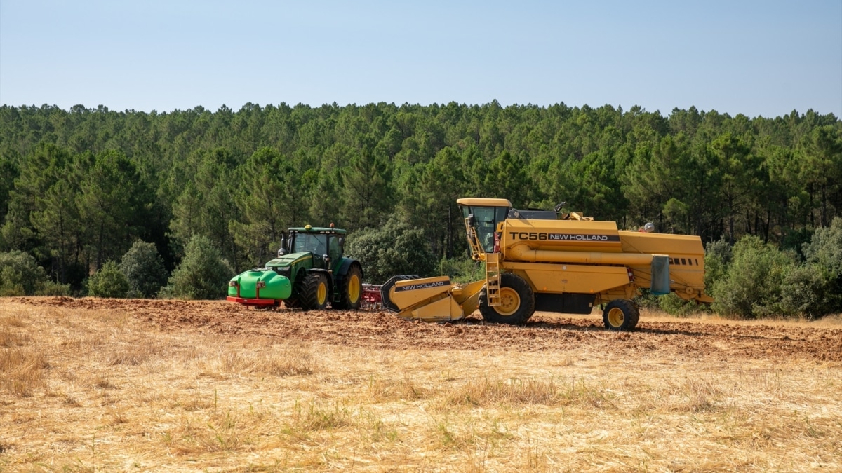 Marlaska suspende la cosecha con maquinaria agrícola en Madrid, Ávila y Toledo por el riesgo de nuevos incendios
