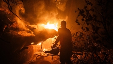 El incendio de Avila arrasa 50.000 hectáreas y se convierte en el más devastador en la historia de España