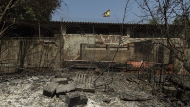 Aagesen cifra en 180.000 las hectáreas calcinadas y en 38 los grandes incendios en lo que va de año