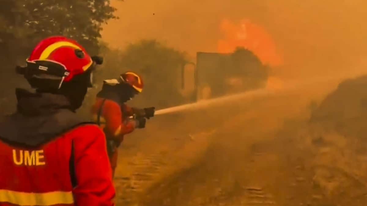El Gobierno declara la emergencia de interés nacional en Madrid y Ávila por la evolución de los incendios