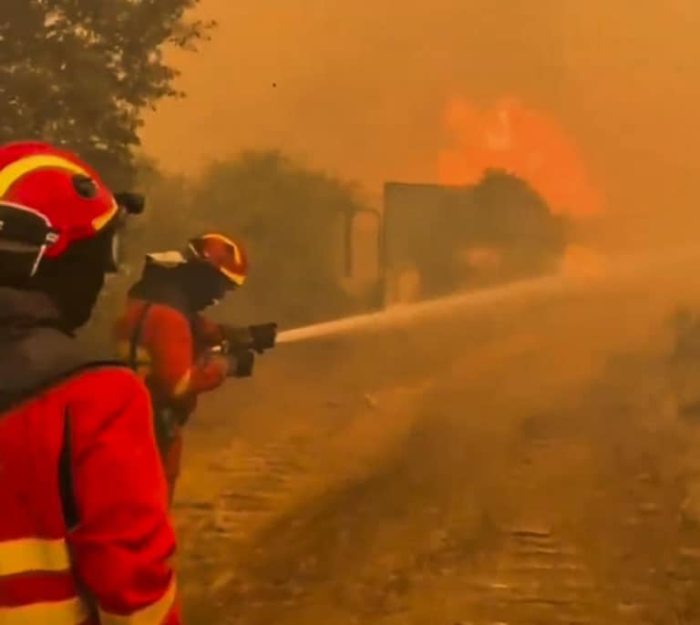 El Gobierno declara la emergencia de interés nacional en Madrid y Ávila por la evolución de los incendios