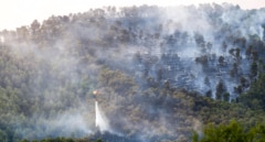 Cataluña activa todos sus recursos ante tres incendios simultáneos y reclama apoyo a la UME