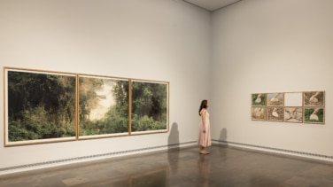 El IVAM recorre la historia y transformación de l'Albufera en una exposición con motivo del 40 aniversario
