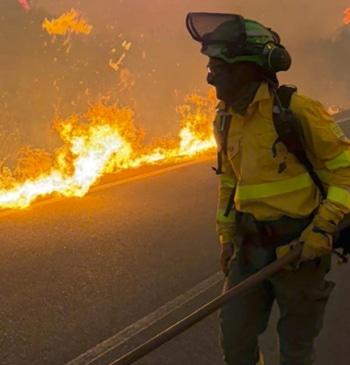 Trampa mortal en Los Gallardos: el incendio de Almería se cobra la [...]