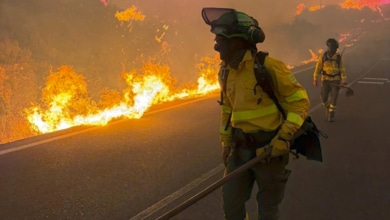 Trampa mortal en Los Gallardos: el incendio de Almería se cobra la vida de al menos 12 personas