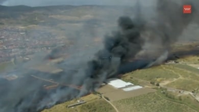 Un vehículo en llamas provoca un incendio forestal en San Martín de Valdeiglesias