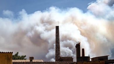 Illa ordena el cierre preventivo de Les Gavarres ante el avance del incendio de La Bisbal d'Empordà