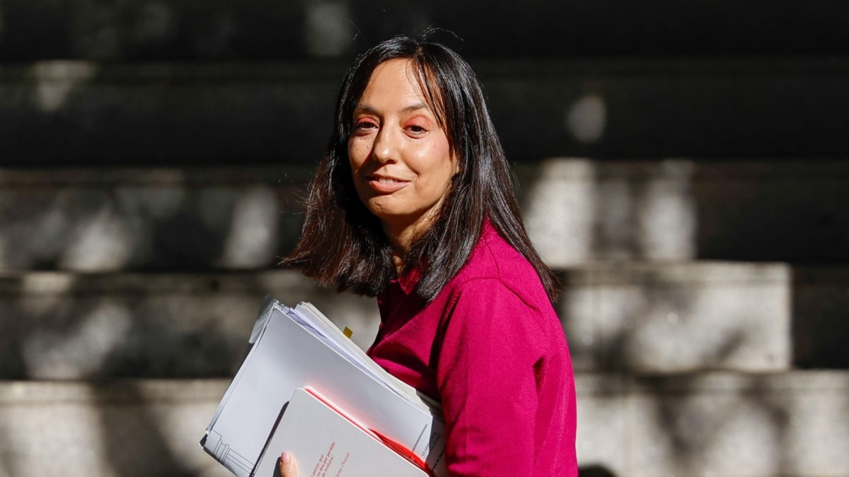 La directora de la Guardia Civil, Mercedes González Fernández, a su llegada para declarar ante el juez de la Audiencia Nacional