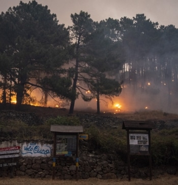 Marlaska califica de "razonablemente positivo" el avance contra los incendios