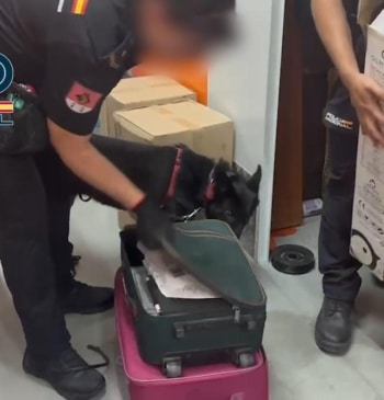 Cae una red de trata en el Polígono Marconi, una lacra con [...]