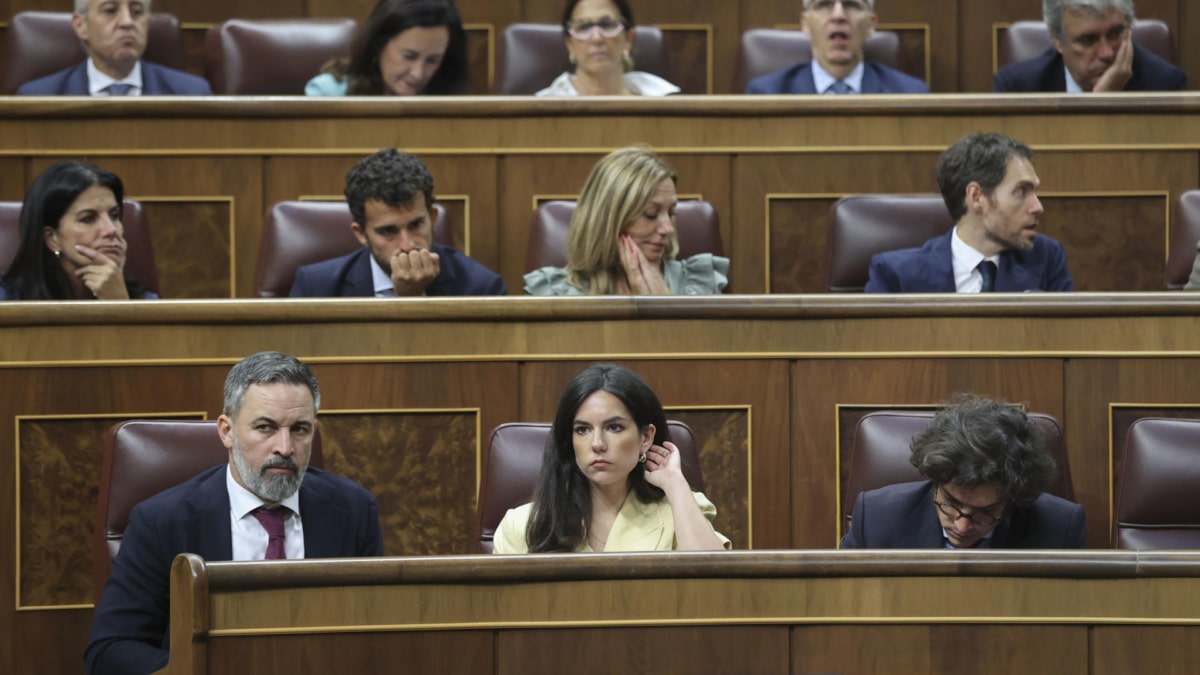 El presidente de Vox, Santiago Abascal, junto a la portavoz parlamentaria, Pepa Millán, y el secretario general del grupo, José María Figaredo, en una sesión extraordinaria en el Congreso
