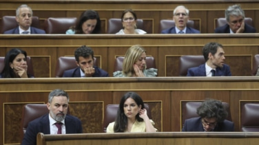 ¿Táctica o evolución? Vox se institucionaliza para ser partido de Gobierno con el PP