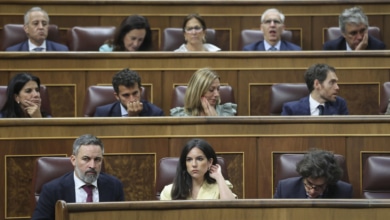 ¿Táctica o evolución? Vox se institucionaliza para ser partido de Gobierno con el PP