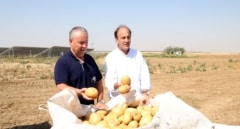 La Consejería de Agricultura presenta el estudio de los costes de producción de la patata en Castilla y León en 2025