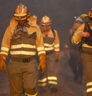 El precio de frenar los megaincendios, según Greenpeace: "Por cada euro invertido [...]