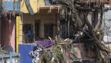 Lecciones desde Nepal