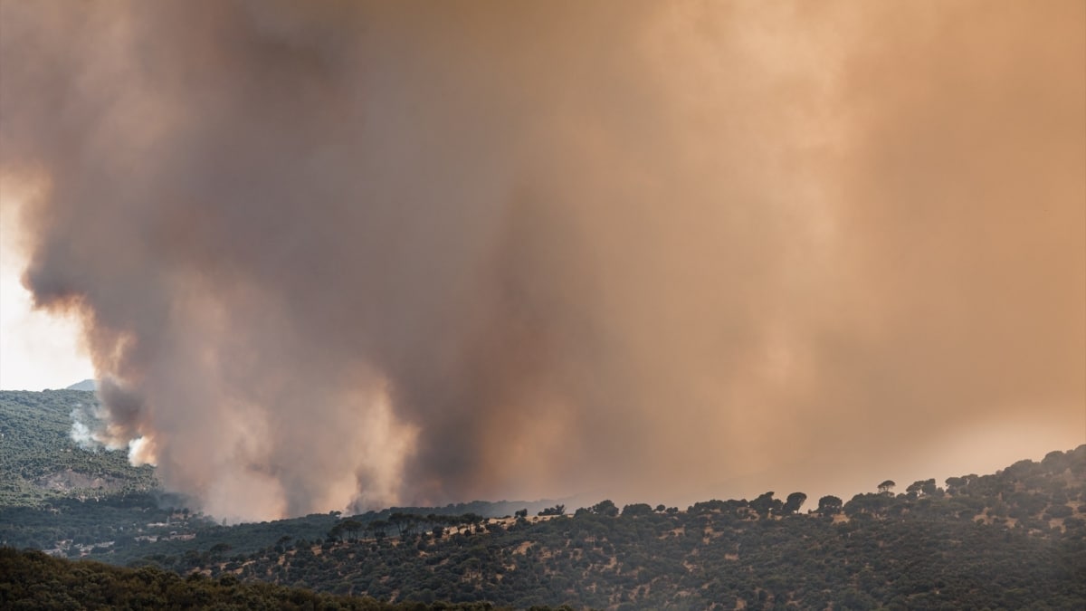 Un artículo inoportuno tras el gran incendio