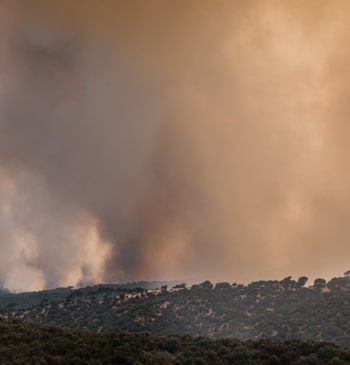 Un artículo inoportuno tras el gran incendio