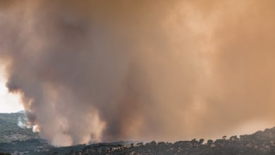 Un artículo inoportuno tras el gran incendio