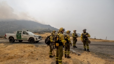 La conectividad o el "corredor" de los incendios