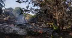 Estabilizado el incendio de Aldea del Fresno tras afectar a 330 hectáreas y obligar a desalojar varias urbanizaciones