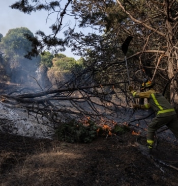 Un nuevo incendio forestal en Madrid obliga a confinar Aldea del Fresno [...]