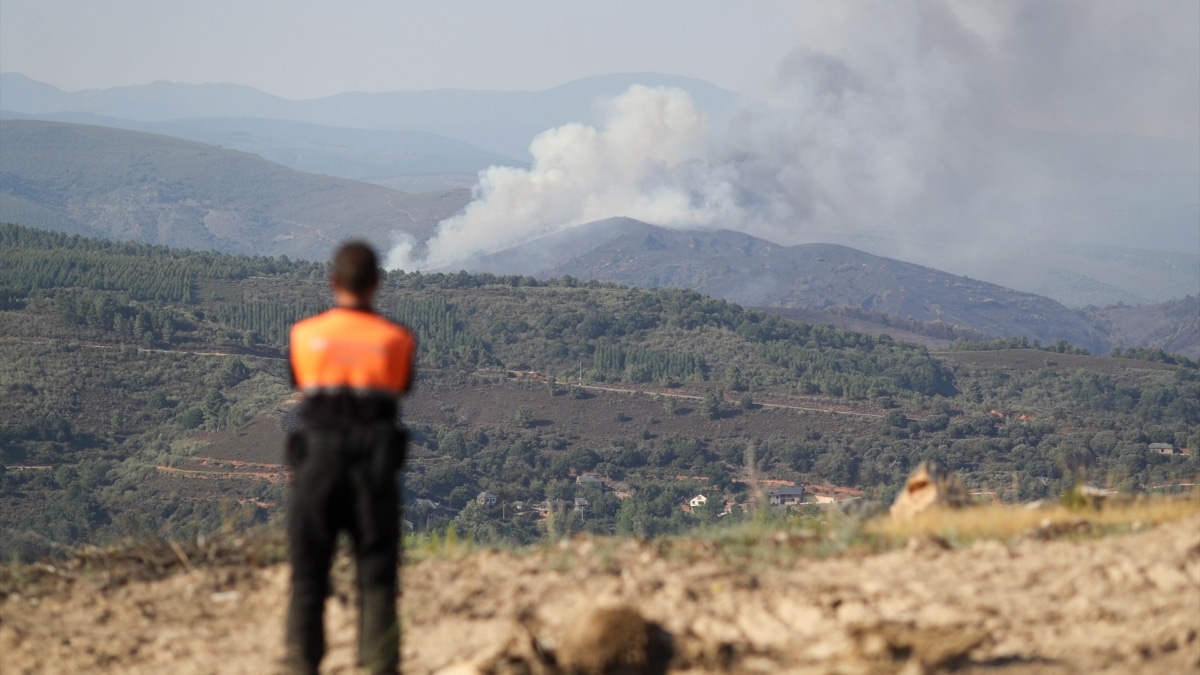 Un incendio forestal, a 31 de julio de 2026, en Veguellina, León