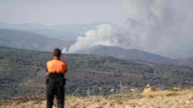 Llegan a España 35 bomberos polacos para colaborar en la lucha contra los incendios