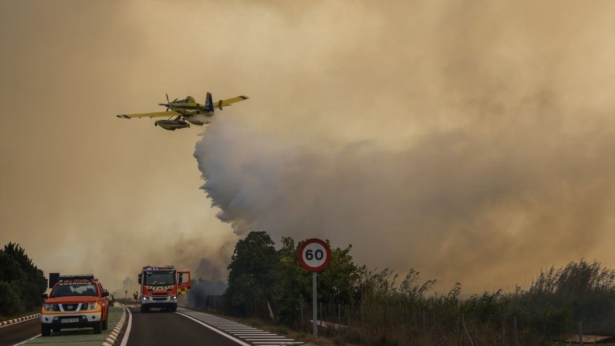 El incendio intencionado de El Saler queda estabilizado tras quemar 37 hectáreas