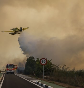El incendio intencionado de El Saler queda estabilizado tras quemar 37 hectáreas
