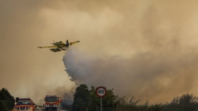 El incendio intencionado de El Saler queda estabilizado tras quemar 37 hectáreas
