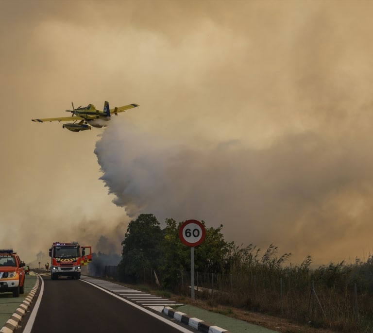 El incendio intencionado de El Saler queda estabilizado tras quemar 37 hectáreas