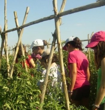 Aragón regula las actividades extraescolares y los viajes de estudios para reforzar [...]