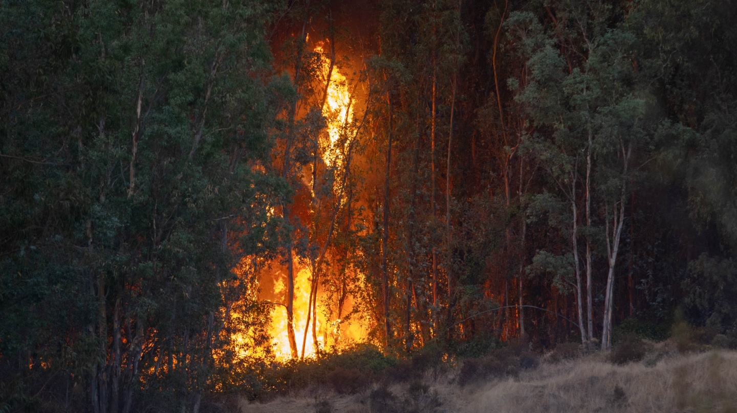 El avance del incendio de Niebla (Huelva) obliga a evacuar a 340 personas