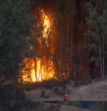 El avance del incendio de Niebla (Huelva) obliga a evacuar a 340 [...]