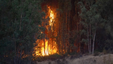 El avance del incendio de Niebla (Huelva) obliga a evacuar a 340 personas