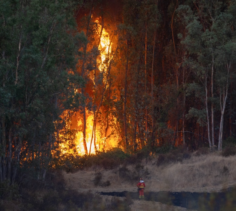 El avance del incendio de Niebla (Huelva) obliga a evacuar a 340 personas