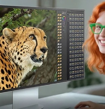 Creativos, diseñadores y fotógrafos coinciden: este monitor 6K es el mejor para [...]