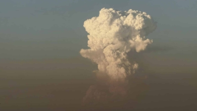 Niebla se perfila como el peor incendio de la historia de Andalucía