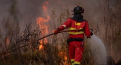 El incendio de Niebla (Huelva) duplica en un día su extensión: alcanza las 8.000 hectáreas