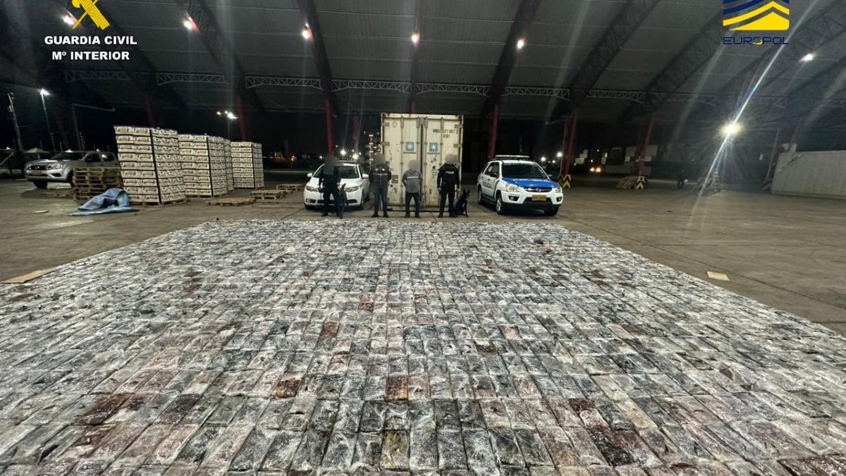 Droga incautada en el marco de la 'Operación Mondragón'