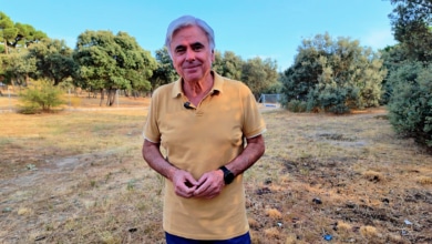 Paco Castañares, experto forestal: “Podemos llegar a ver un incendio en los Pirineos de un millón de hectáreas”